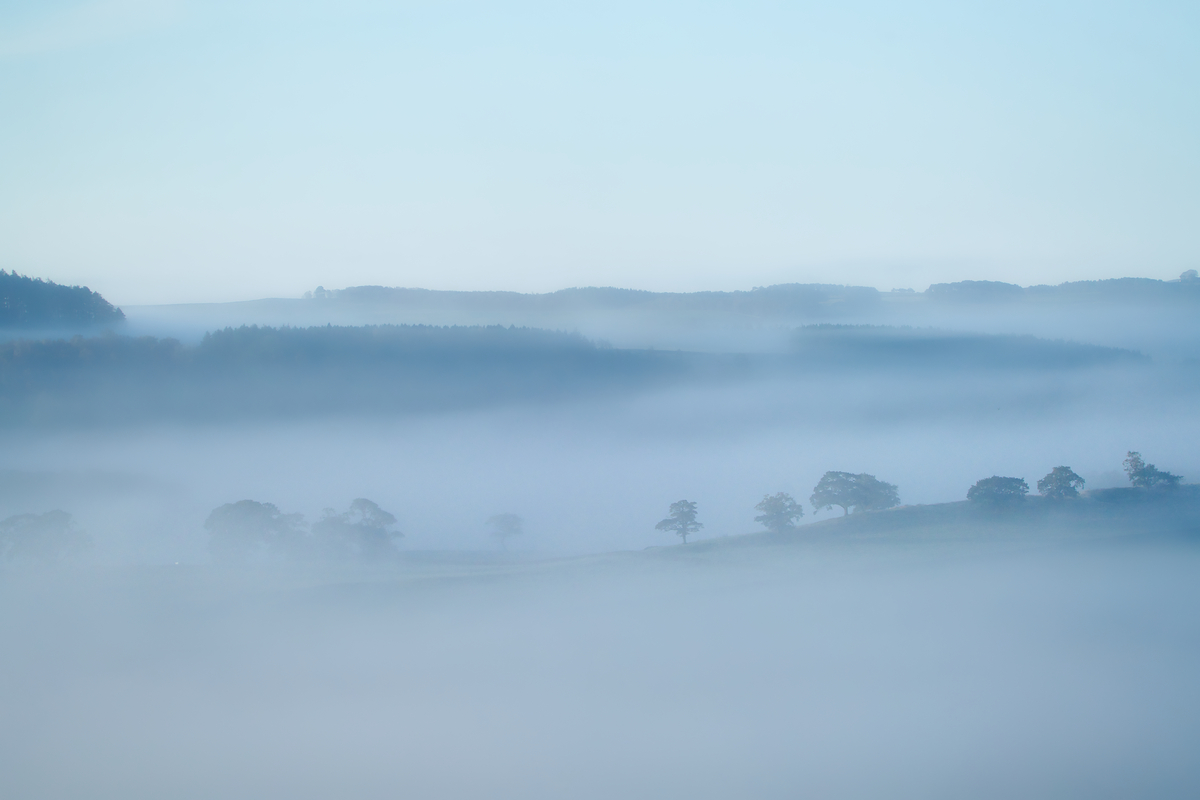 HC - Misty sandwich - Graham Turner